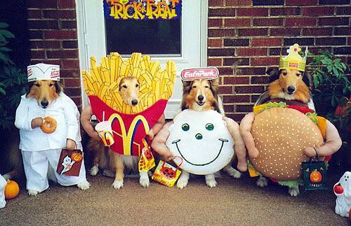 dog-halloween-costumes.jpg
