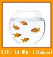 Life in Our Fishbowl Button