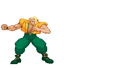 Street Fighter gif photo: street fighter gif street_fighter_0301.gif