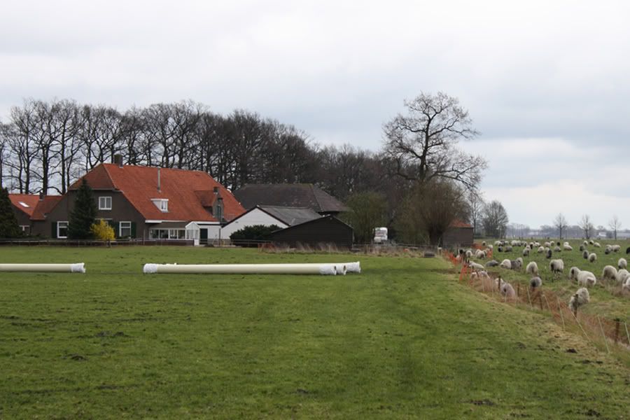 Fotografie