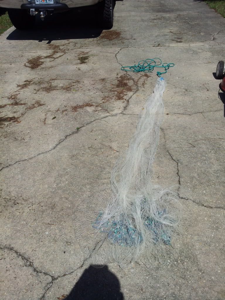 8 ft cast net | Pensacola Fishing Forum