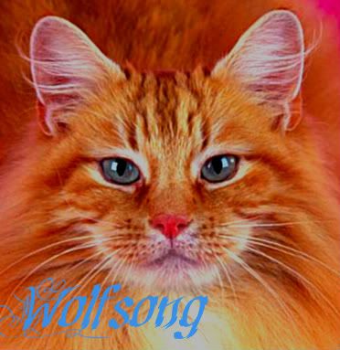 Wolfsong Avatar