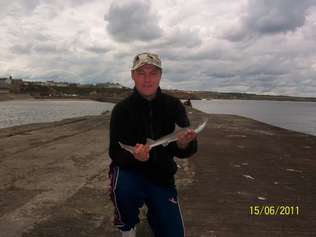myfish001-1.jpg